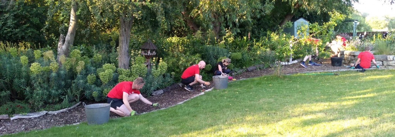 Volunteers helping in the garden